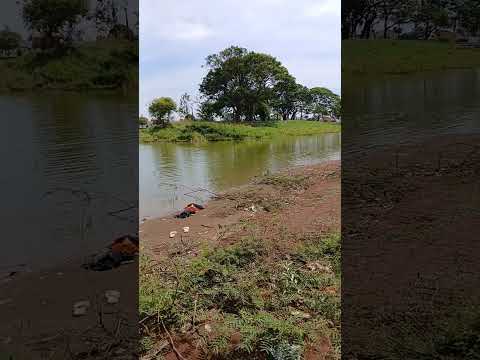 parque  Maraca em guaira sp  parte  82