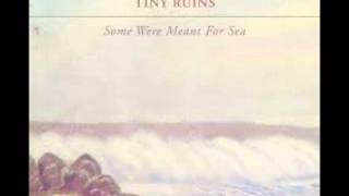 Pigeon Knows- Tiny Ruins