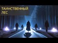 Задокументировано №48 - Таинственный лес 