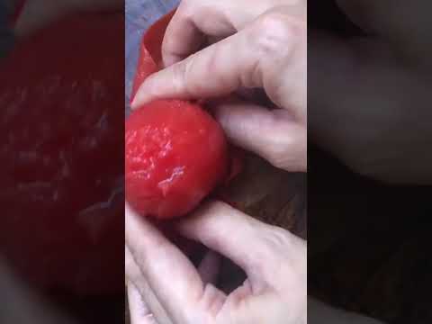 How to make Tomato Soup