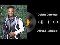 Damma Roobilee Gelana Garomsa Album Vol 2 Galaanaa Gaaromsaa