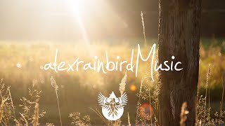 The Luka State - The Believer