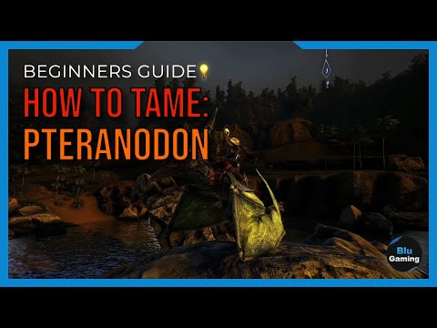 How To: Tame A Pteranodon In Ark Survival 2022