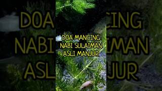 Download lagu DOA MANCING NABI SULAIMAN #doamancing #shortsvideo #shorts #shortsviral mp3 Download lagu DOA MANCING NABI SULAIMAN #doamancing #shortsvideo #shorts #shortsviral mp3