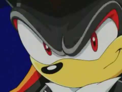 Sonic el Gato Volador - ParodiAnime413