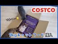 コストコ購入品 特大11kgキャットフードを開けて猫達にあげてみた😺