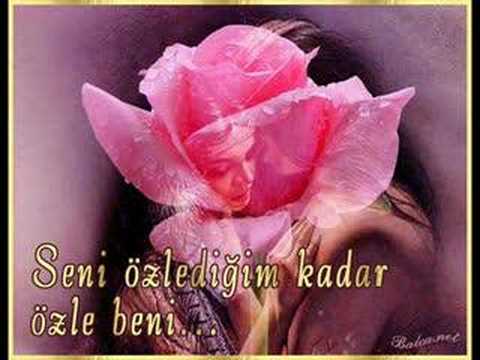 sevemiyoruz samsunlu ayaz