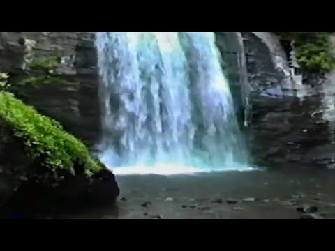 Fullempty - 295/Simplicity