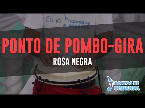 Capa do vídeo: Gira – Rosa Negra