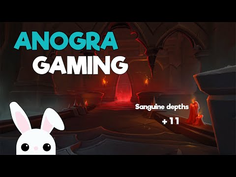 Holy paladin - Sanguine depths +11