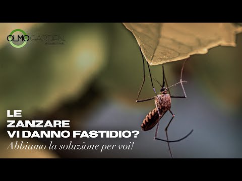 La soluzione giusta contro le zanzare! | Olmo Garden