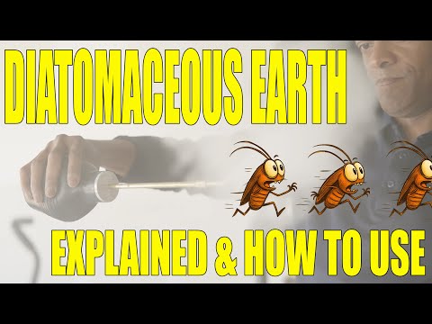 How to Use one of the best Natural Pest Killers Diatomaceous Earth