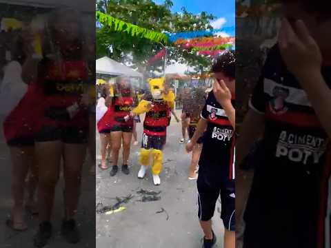 CAMPEÃO CARNAVAL 1 "D" #ALAGOINHA PERNAMBUCO.