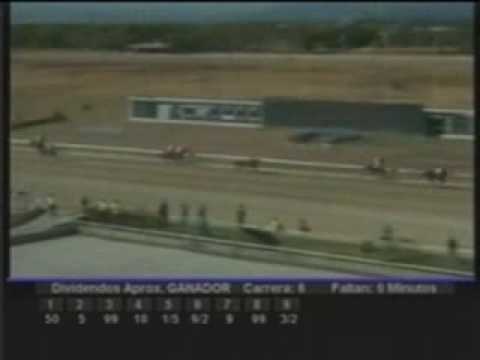 Resumen Viernes 22 de Enero - Valencia