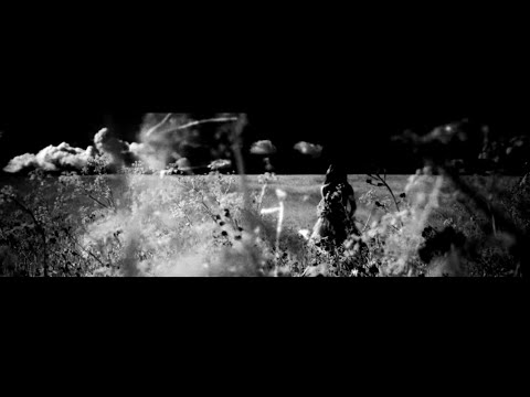 SANGRE DE MUERDAGO -  Xuntas  Lp 2020 Album Trailer