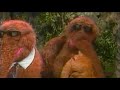Sesame Street Snuffy S Parents Get A Divorce 2021 S 50 Years Of Sunny Days Documentary Clips