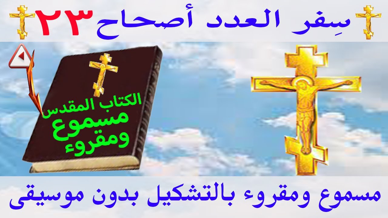 فيديو تفسير الكتاب المقدس | الكتاب المقدس رفيقي