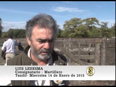 Ledesma y Arana S.R.L. - Nota Luis Ledesma - Tandil - 14/01/2015