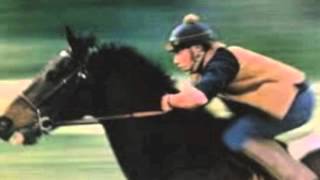 Stephen Stills-We Will Go On