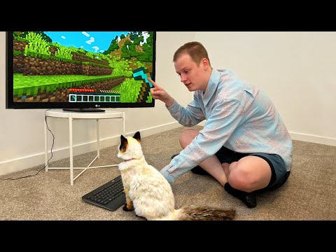 I Taught My Cat to Play Minecraft