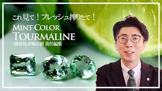 動画のサムネイル