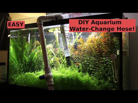 DIY Water Change System - How To Siphon Aquarium Tank - Easy