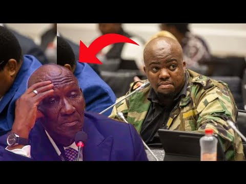 MP Nomvalo vs Bheki Cele "Why would you meet Cat Matlala in Durban without verifying his background"