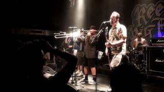 REEL BIG FISH  -  Boss DJ   [HD] 31 OCTOBER 2015