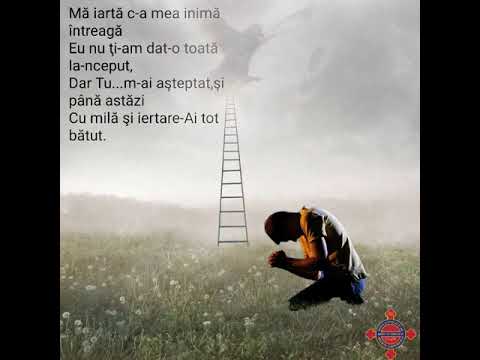 TE CHEM IISUS - Emil Rarinca (Oastea Domnului)