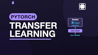 Transfer Learning: Fine-tuning a Pretrained ResNet — Practical PyTorch