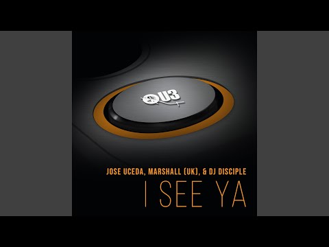 I See Ya (DJ Spen & MicFreak Remix)