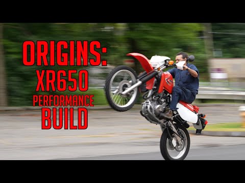 BASELINE DYNO FOR OUR XR650 PERFORMANCE BUILD!