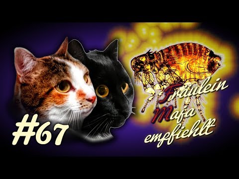 Diffusion des Hüftgelenks bei einem Kind Behandlung Mamatov Gelenke