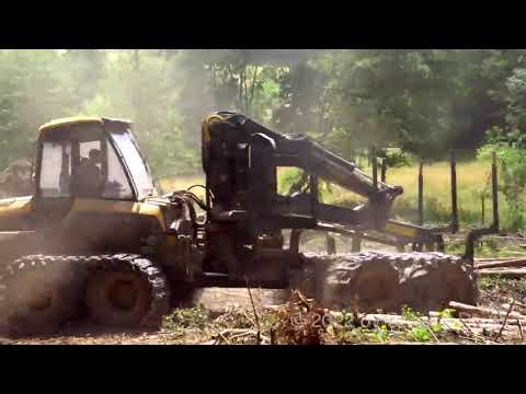 Zurak GmbH- Einblick Holzrückung und Hacken