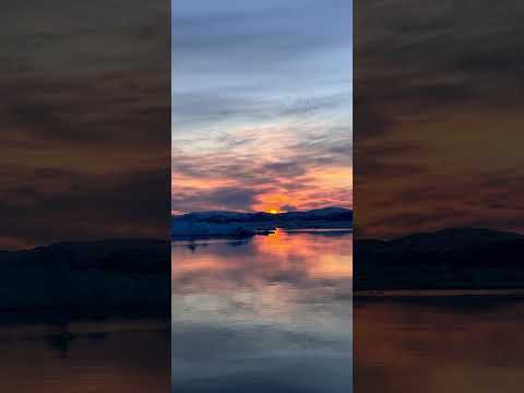 Hans lange, Asasannit.