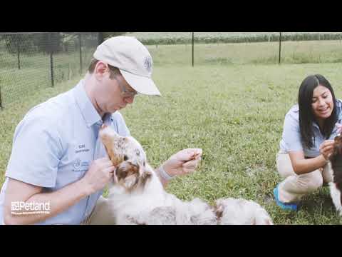 Kennel Tour 75