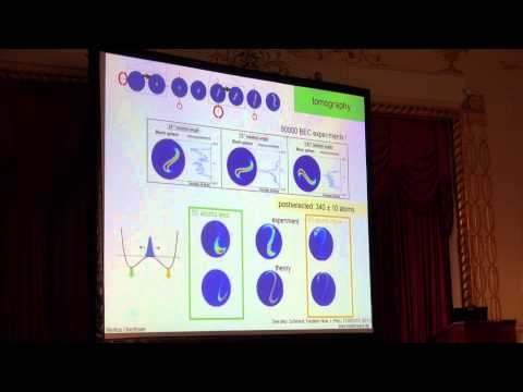 ICAP 2014 - M. Oberthaler