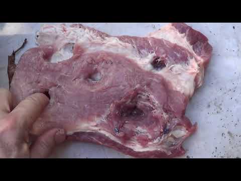 .380 Federal HST 99 grain JHP, Winchester 95 grain JHP and Remington 95 grain FMJ Test in Meat