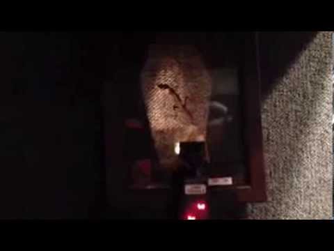 The Real Radio Lizard