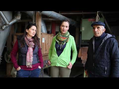 TAGWERK Einblicke - Hand in Hand mit der Natur auf dem Biohof Lex