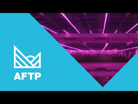 Artem Trufanov - AFTP Testimonial