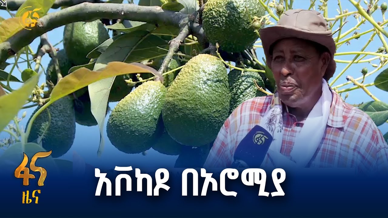 የአርሶ አደሮች ተጠቃሚነት ያደገበት