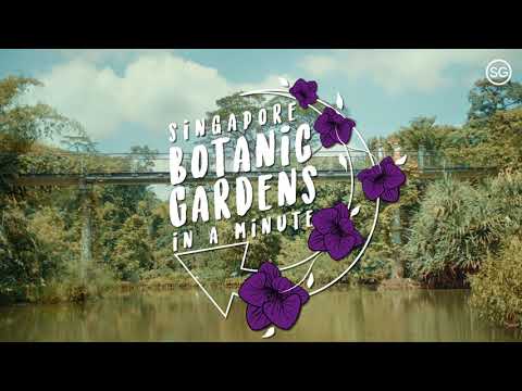 Botanic Gardens — Singapore in a Minute