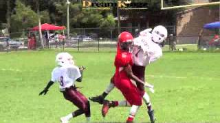 GRANDPARK VS LAKESHORE UNLIMITED 2015