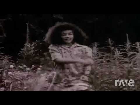 Bob Marley Three Little Birds David Guetta Sia Titanium remix