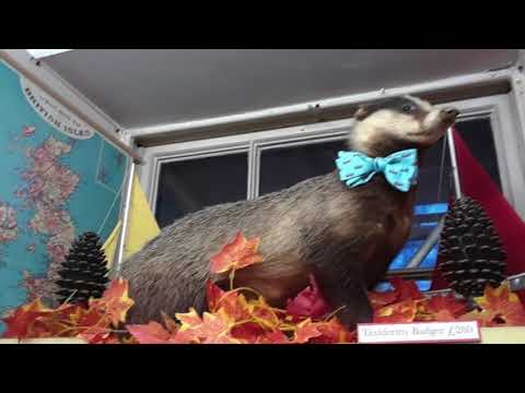 An Unforgettable Holiday