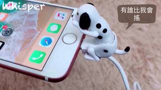 Re: [問卦] 說老二不用太長夠用就好的都男醫師！？