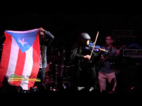 Newtone y Don Carmelo @ Bahia Urbana por puertoreggae.com