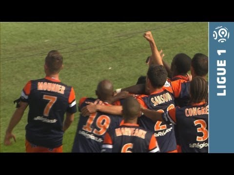 Ligue 1 - Week 9 : Goals compilation - 2013/2014