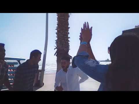 Harinama Ruci - Dancing Rhinos - Melbourne, Australia - Dec 2019